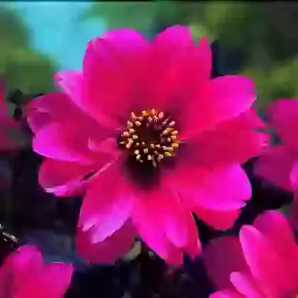 Bishop of Canterbury